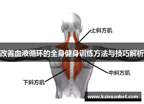 改善血液循环的全身健身训练方法与技巧解析