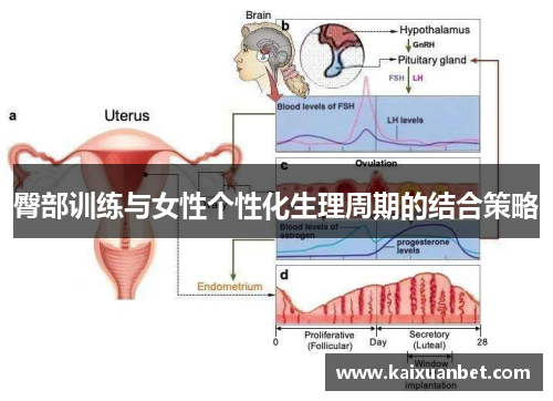 臀部训练与女性个性化生理周期的结合策略
