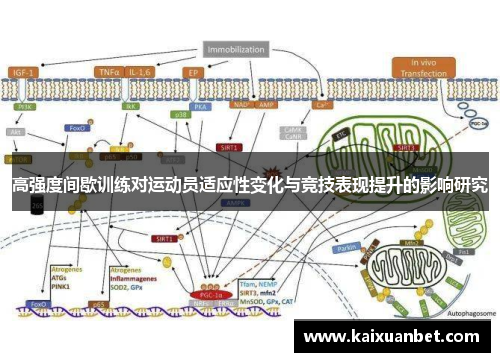 高强度间歇训练对运动员适应性变化与竞技表现提升的影响研究